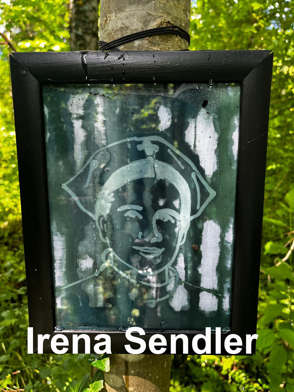Stille Helden - Irena Sendler