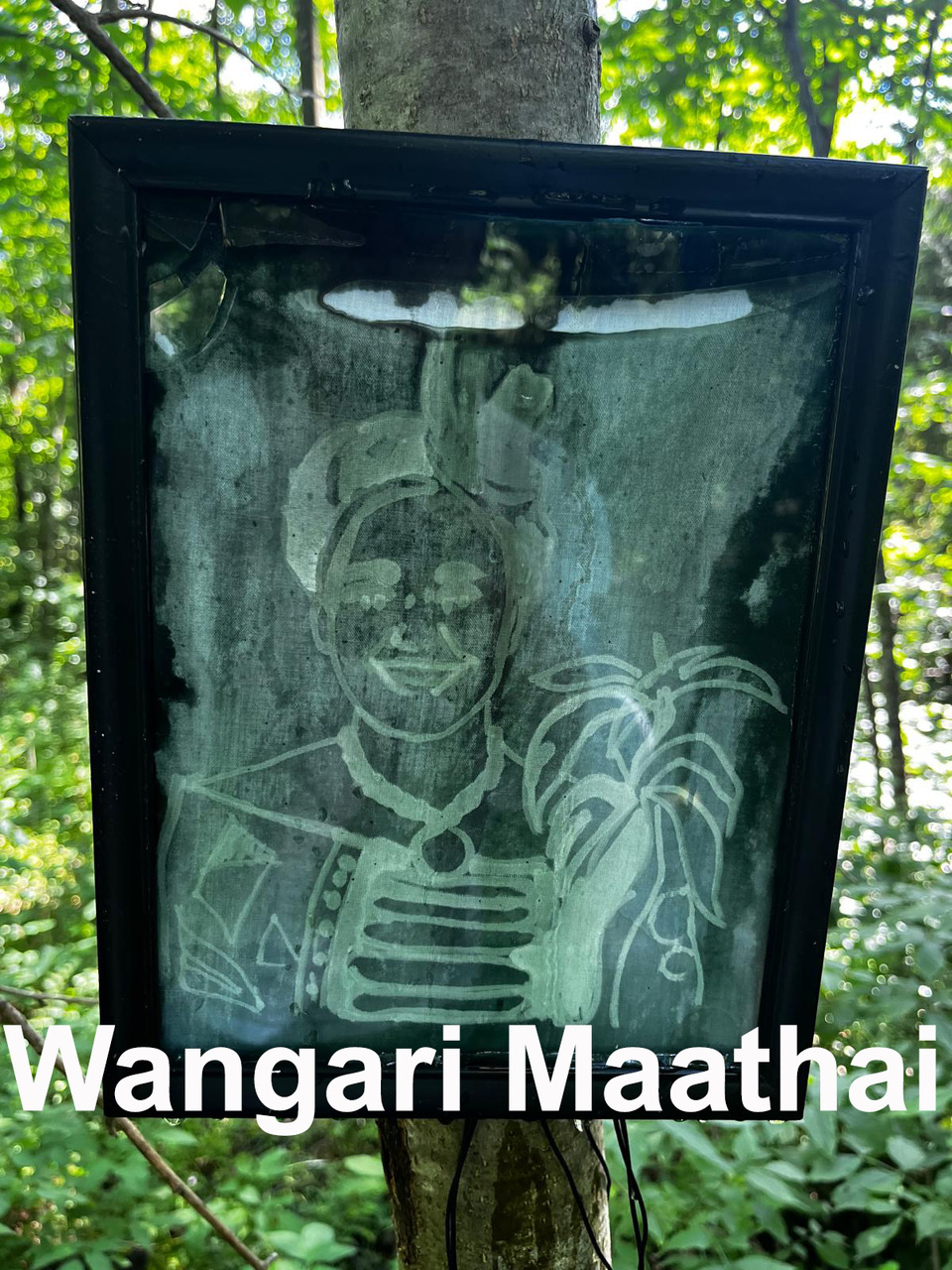 Stille Helden - Wangari Maathai
